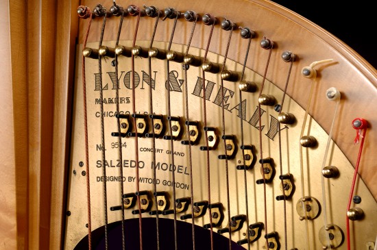 Salzedo Harp